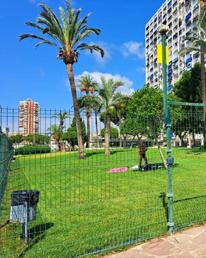 Comfortable Studio With Sea View Appartement Benidorm Buitenkant foto